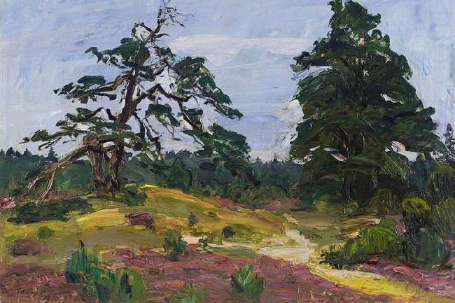 Max Slevogt Heide und Baume china oil painting image